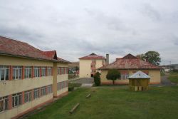 CSEI Stefan 